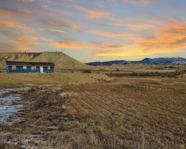 House Sitting in Montrose, Colorado