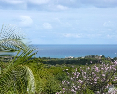 House Sitting Opportunity - Vieques, Puerto Rico - Position Filled