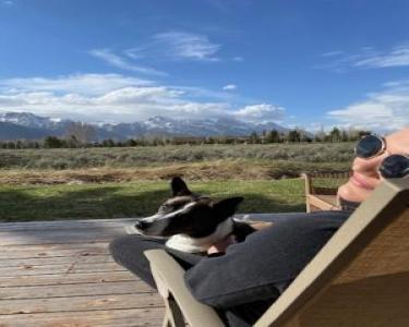 View Details of House Sitting Assignment in Jackson, Wyoming