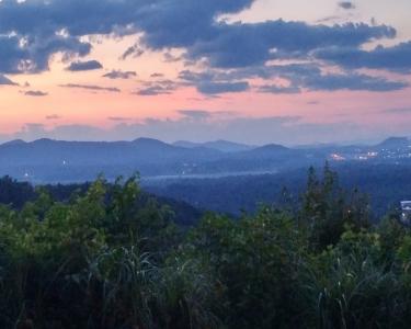 View Details of House Sitting Assignment in Hendersonville, North Carolina